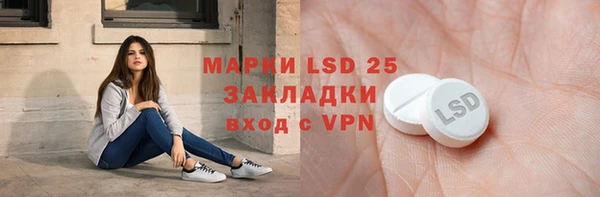 шишки Балахна