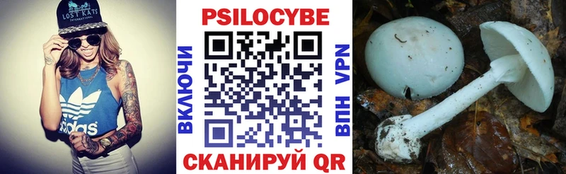 Псилоцибиновые грибы ЛСД Бугульма
