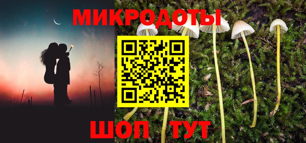 Псилоцибиновые грибы мухоморы Бугульма