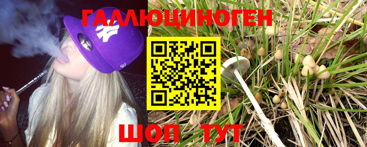 Псилоцибиновые грибы Magic Shrooms  Вход с VPN  Бугульма  Галлюциногенные грибы Cubensis 