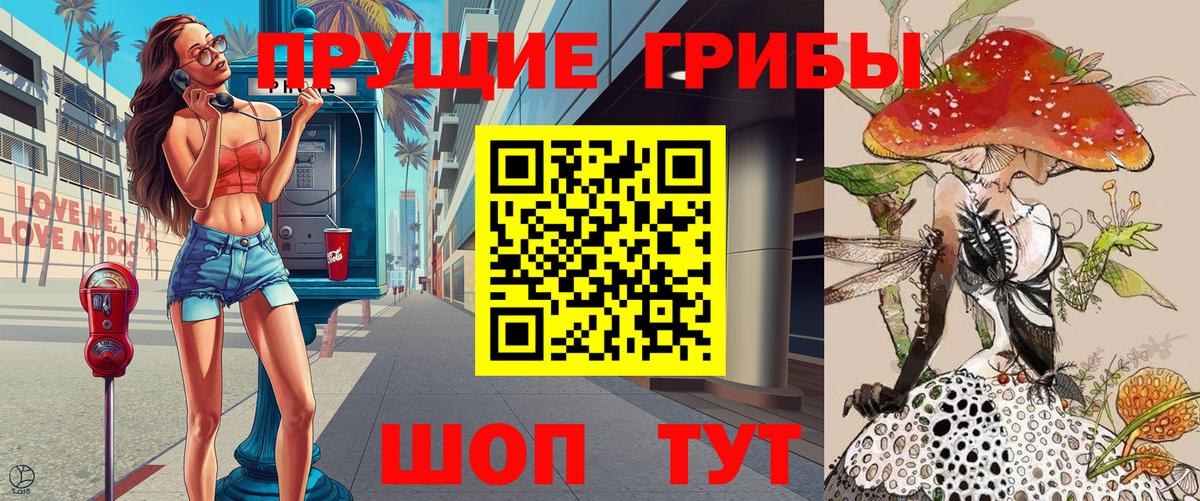 Псилоцибиновые грибы Cubensis Бугульма