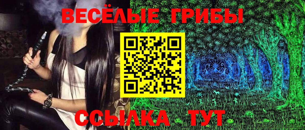 где купить наркотик  Псилоцибиновые грибы Cubensis  Бугульма  Псилоцибиновые грибы мухоморы 